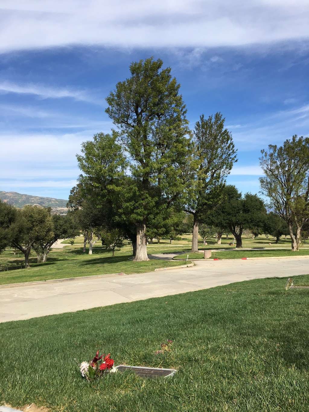 Oakwood Memorial Park And Cemetery | 22601 Lassen St, Chatsworth, CA 91311, USA | Phone: (818) 341-0344