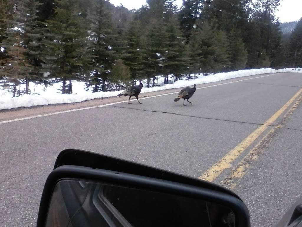 Reynolds Park Trailhead | 13649 S Foxton Rd, Littleton, CO 80127, USA | Phone: (303) 271-5925