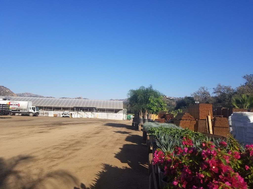 Moon Valley Nurseries Farm | 1210 Rainbow Hills Rd, Fallbrook, CA 92028, USA | Phone: (714) 594-5257