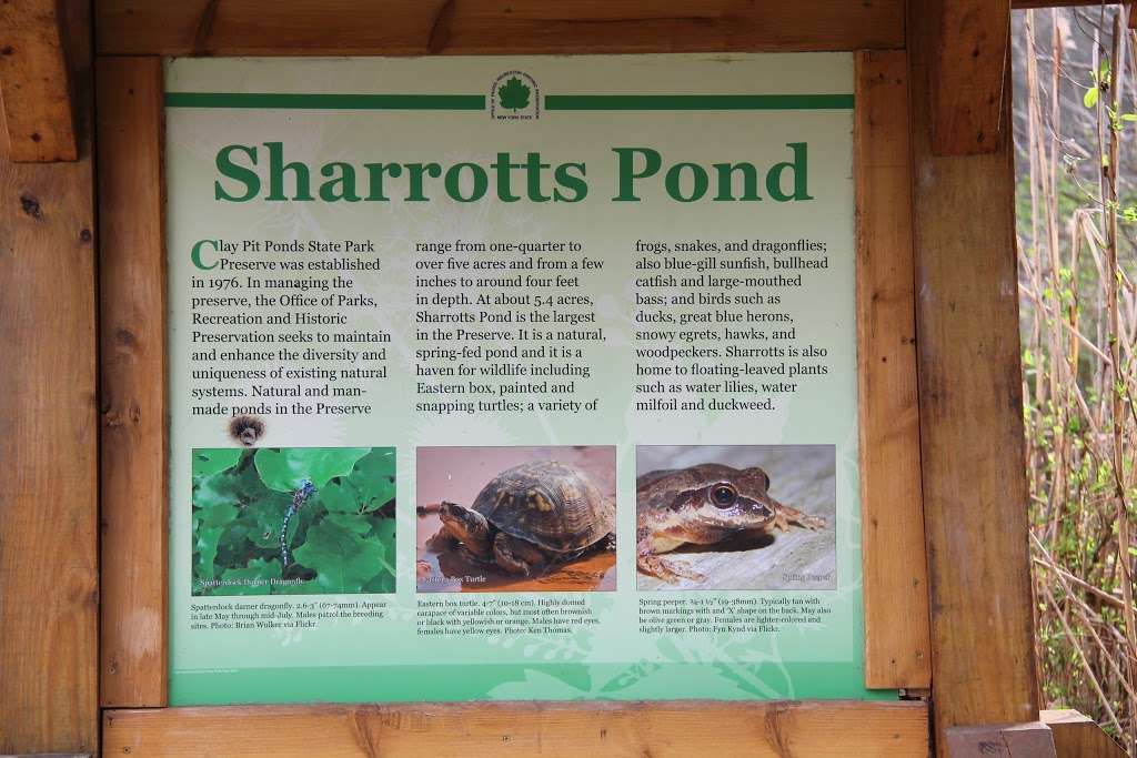 Sharrotts Pond | 1948-2438 Veterans Rd W, Staten Island, NY 10309