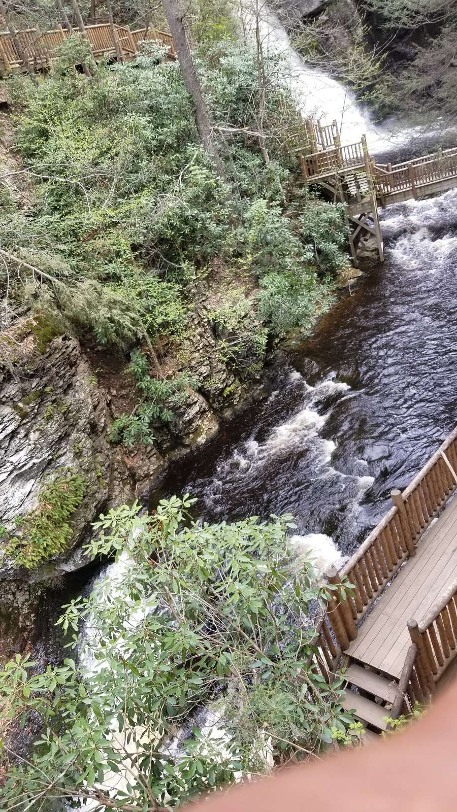 Bushkill Falls | Falls Rd, Lehman Township, PA 18324, USA