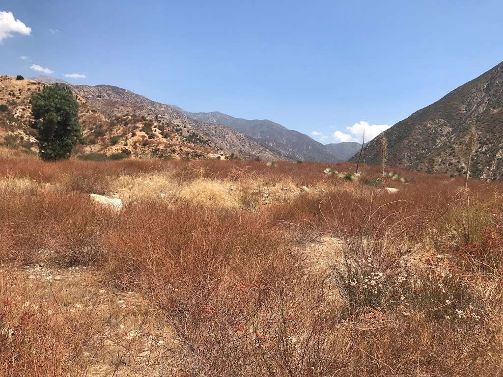 Bichota Canyon Trail | Bichota Canyon Trail, Azusa, CA 91702