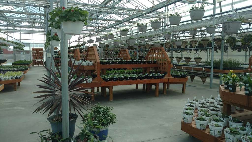 Towns Edge Greenhouse | 9541, 148 Ranck Church Rd, New Holland, PA 17557, USA | Phone: (717) 354-6680