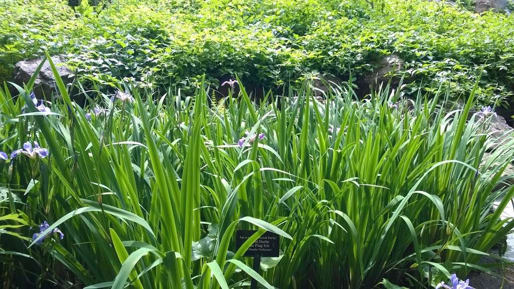 Waterfall Garden | Glencoe, IL 60022