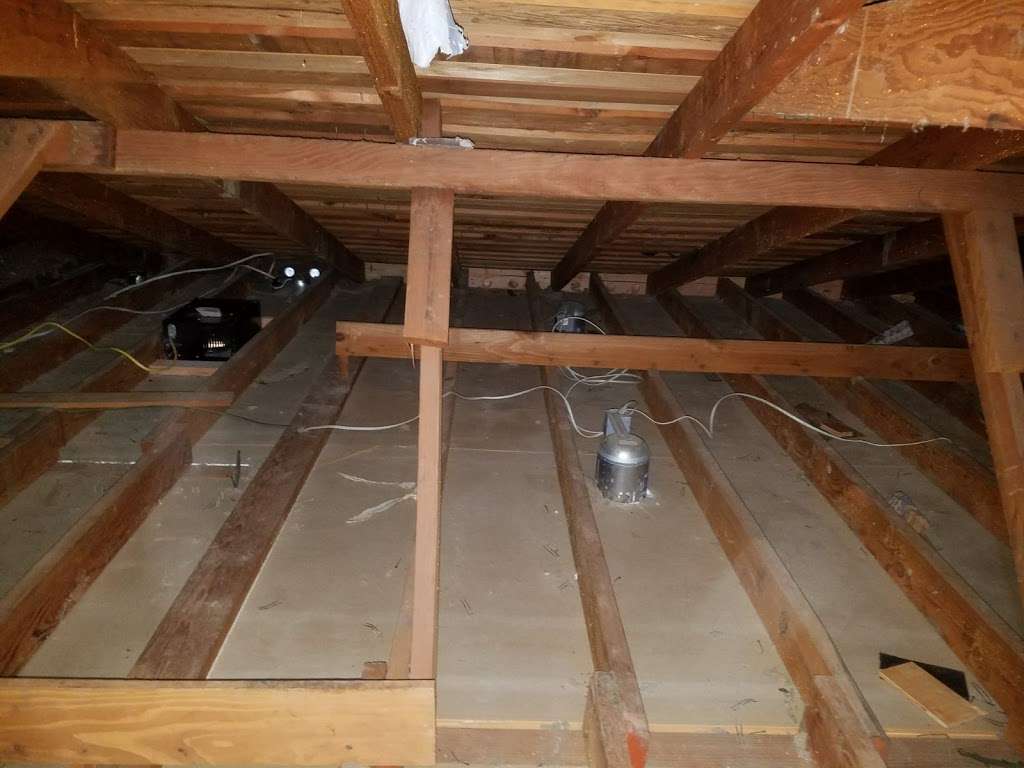 Attic Solutions - Rodent Proofing & Insulation Services | 3212 Deering St, Oakland, CA 94601 | Phone: (510) 500-5007