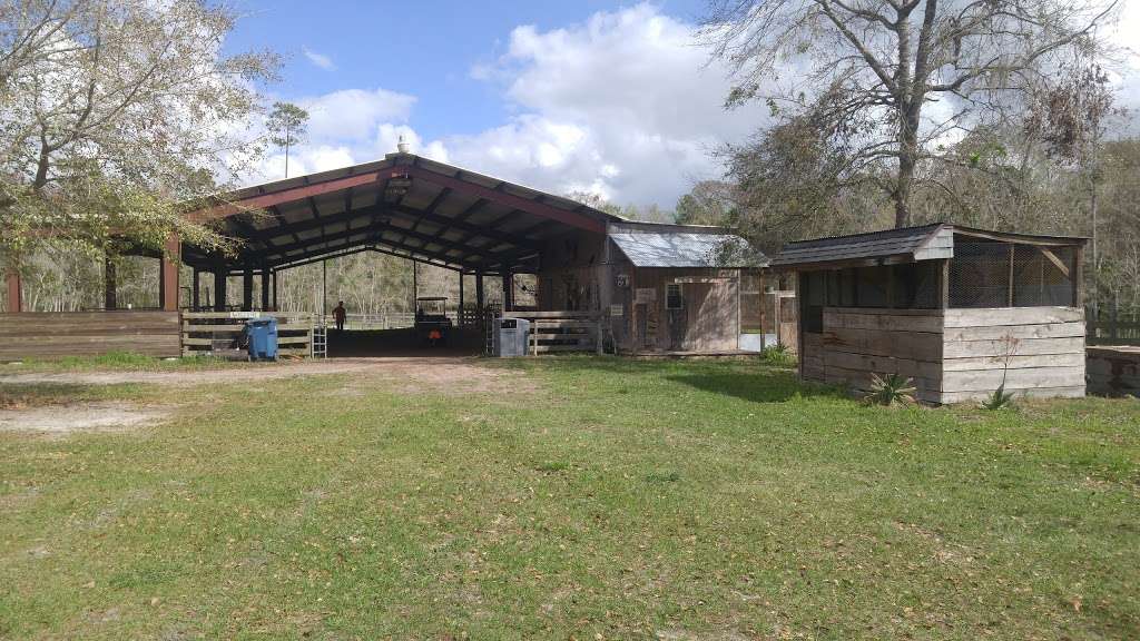 Horse Creek Equestrian Center Inc | 350 E, FL-40, Pierson, FL 32180, USA | Phone: (386) 749-2888