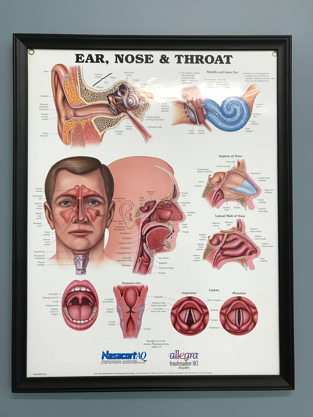 Siegel & Bosworth Ear, Nose & Throat Center | 15204 Omega Dr #310, Rockville, MD 20850, USA | Phone: (240) 361-9000