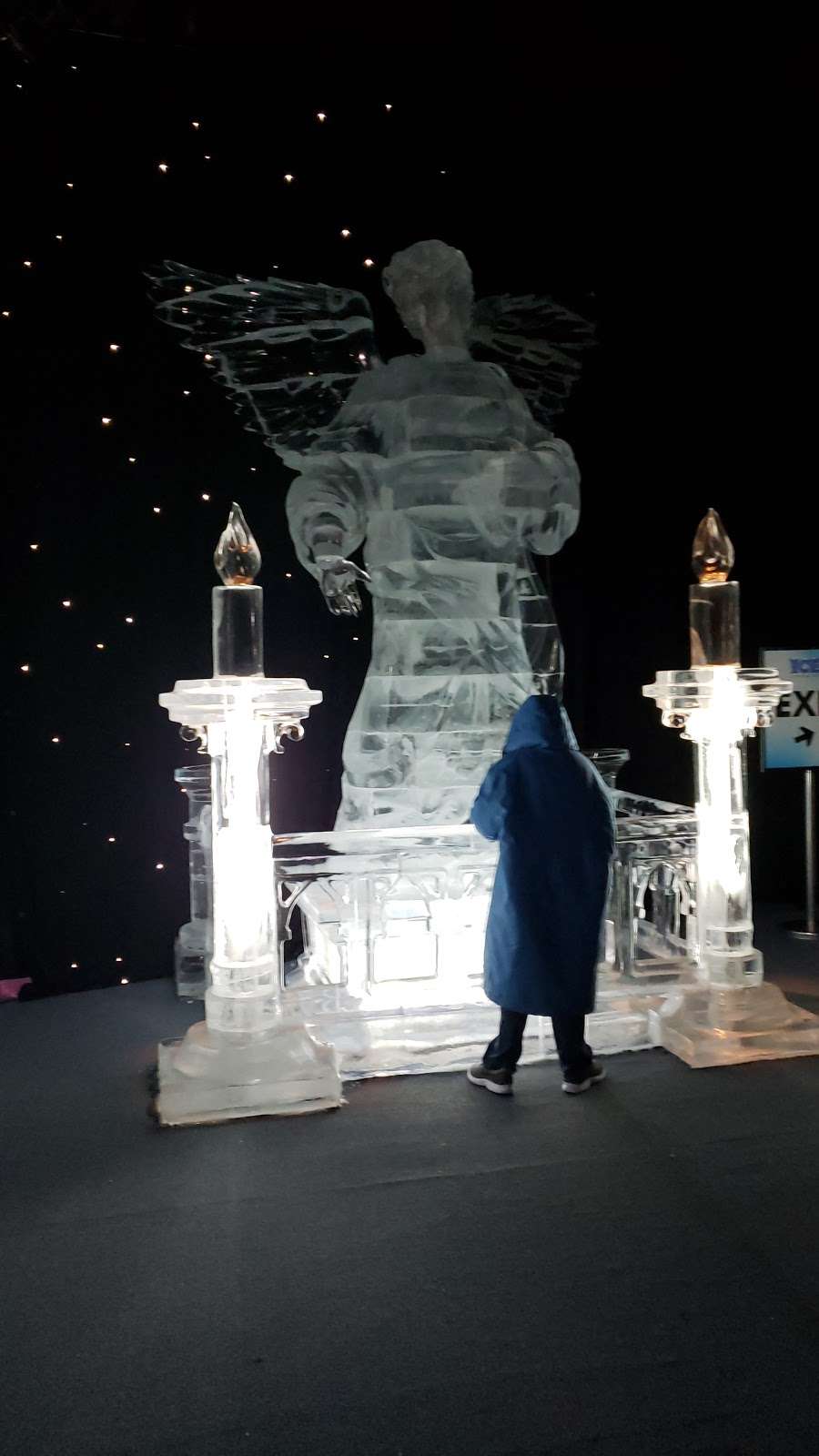 ICE at Gaylord Palms | Kissimmee, FL 34746