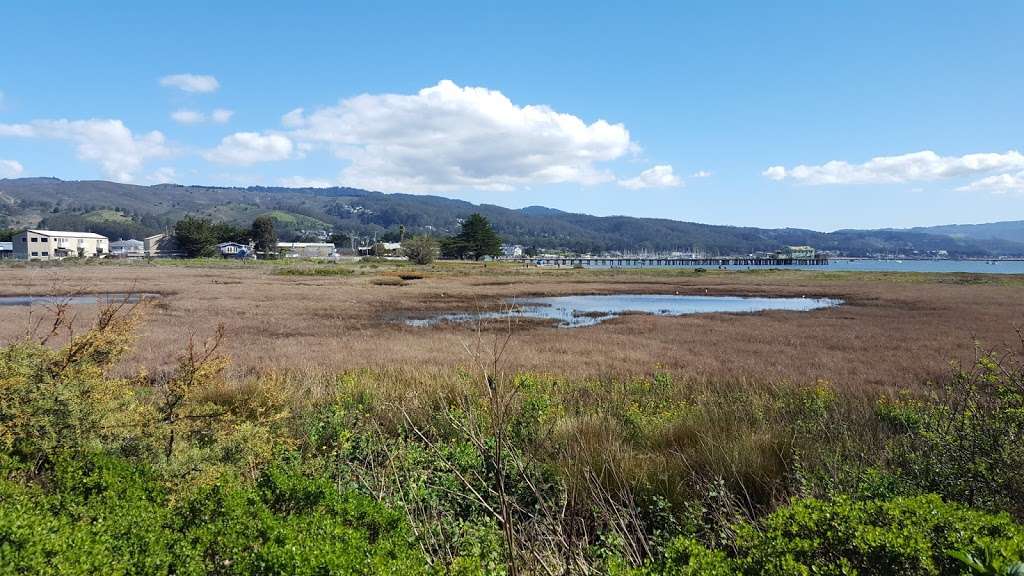 Tide Pools Parking Lot | Half Moon Bay, CA 94019