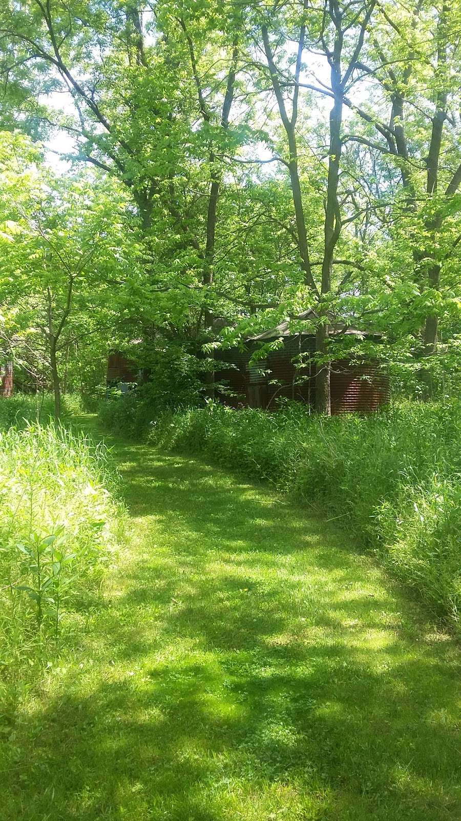 Twin Bridges Loop Trail | East CR-200 South, Danville, IN 46122, USA