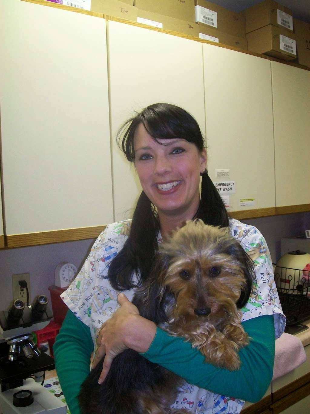 Meyer Veterinary Hospital | 549 Liberty St, Walkerton, IN 46574, USA | Phone: (574) 586-9662