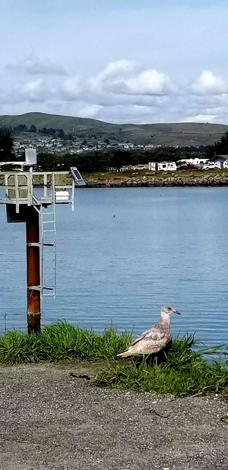 Campbell Cove Beach | Salmon Creek, Jenner, CA 95450, USA