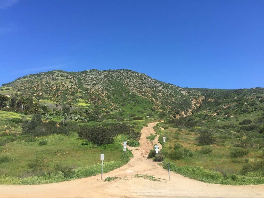 Monserate Mtn Trailhead | 243 Horse Ranch Creek Rd, Fallbrook, CA 92028, USA