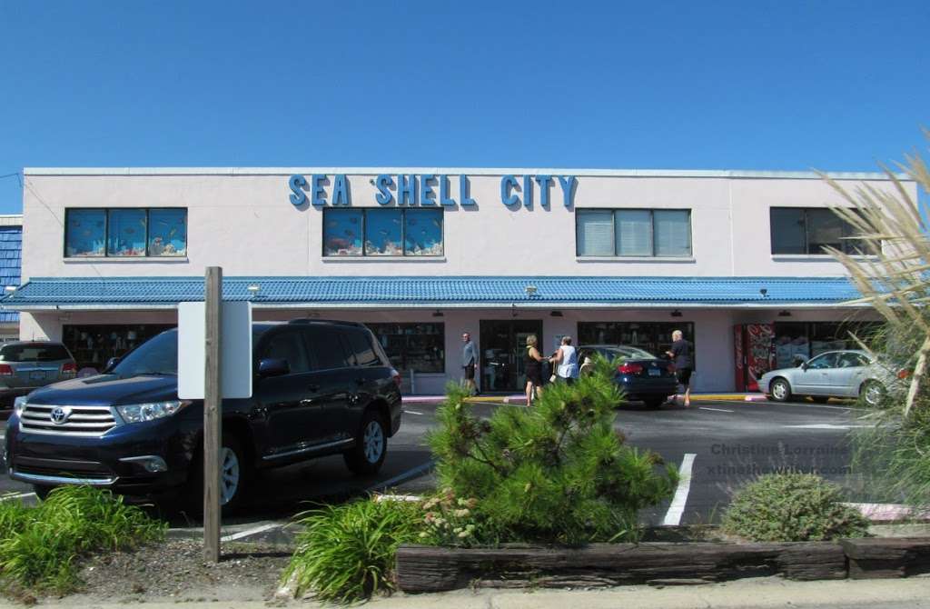 Sea Shell City, Inc | 708 Coastal Hwy, Fenwick Island, DE 19944, USA | Phone: (302) 539-9366