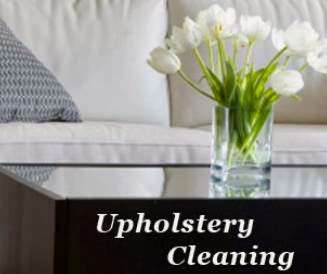 Steam Master Cleaning | 1330 W Blanco Rd, San Antonio, TX 78248, USA | Phone: (210) 691-5000
