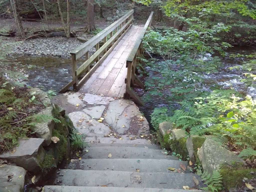 Falls Natural Trail, Ricketts Glen | PA-118, Benton, PA 17814, USA