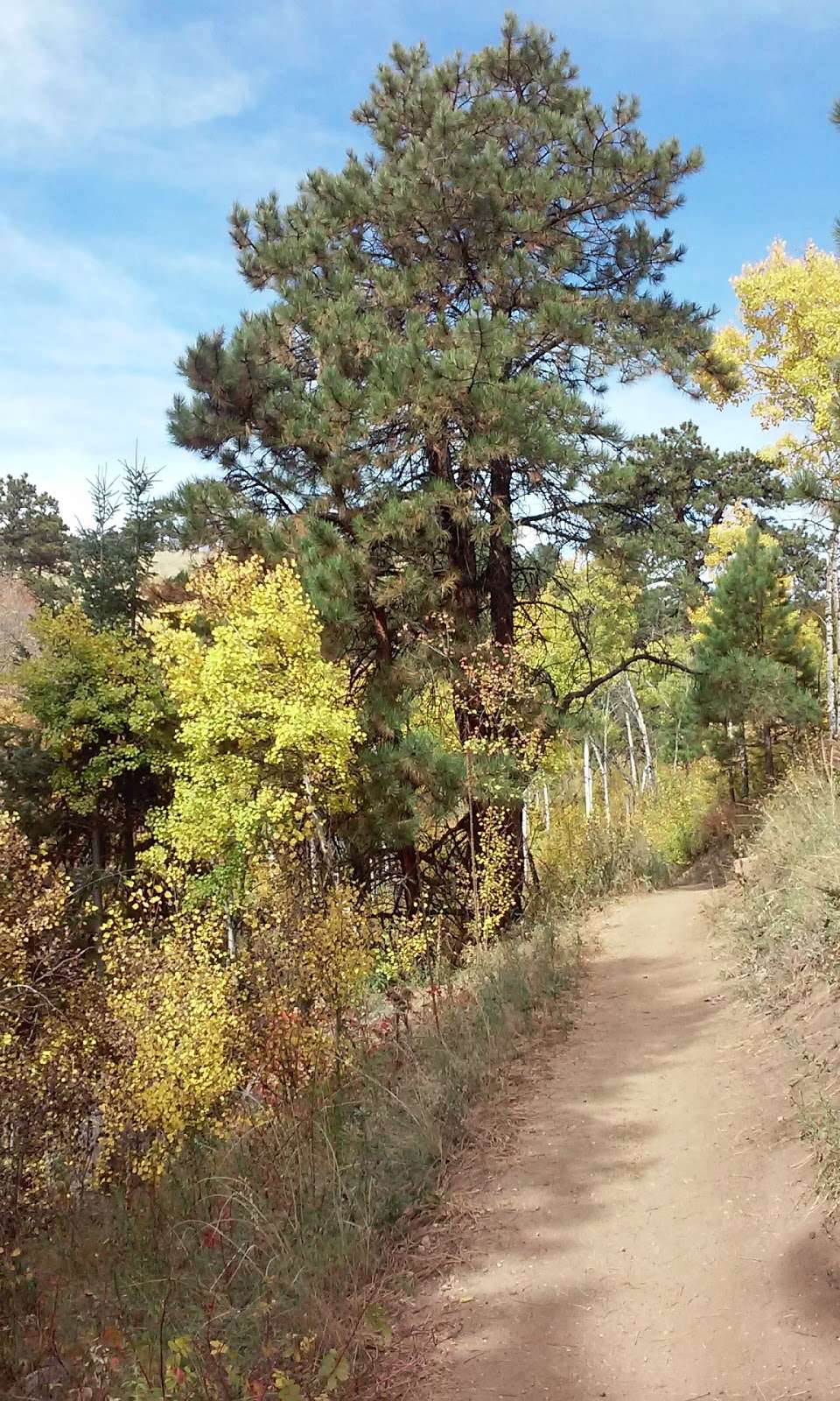 Enchanted Forest Trailhead | 196 Lookout Mountain Rd, Golden, CO 80401, USA