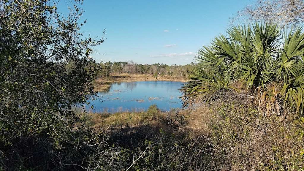 Cross Seminole Trail - Black Hammock Trailhead | 1571 E State Rd 434, Winter Springs, FL 32708 | Phone: (407) 365-1244