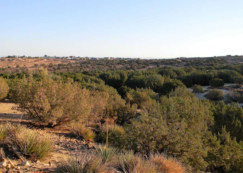 Barrel Springs Hiking Trail | Barrel Springs Rd, Palmdale, CA 93550, USA