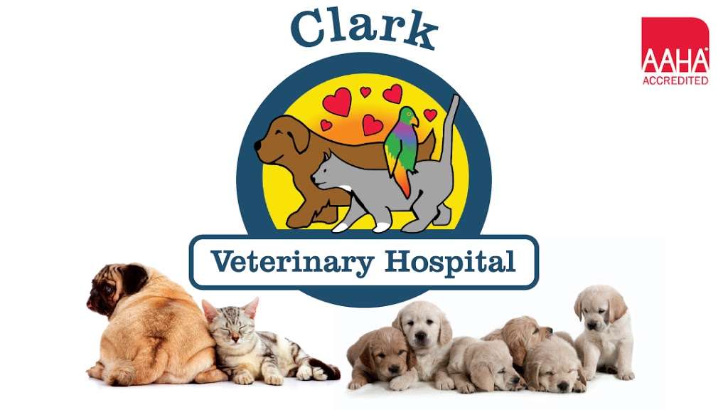 Clark Veterinary Hospital | 40 Webster St, Nashua, NH 03064, USA | Phone: (603) 605-8432