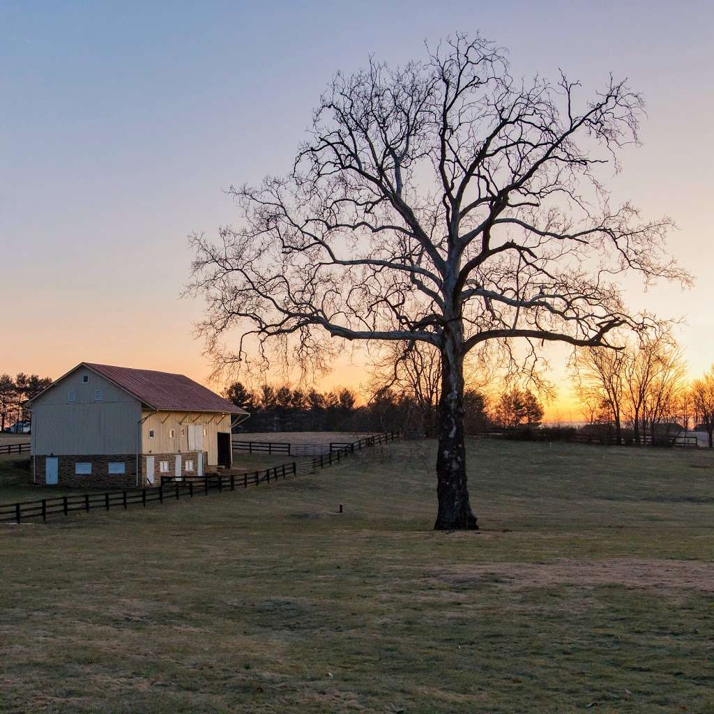 Wheatland Spring | 38454 John Wolford Rd, Waterford, VA 20197, USA | Phone: (540) 746-6080