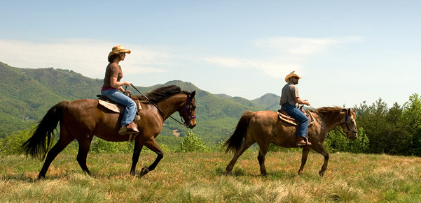 Echo Ridge Show Jumping | 2927 English Pl, Chino Hills, CA 91709, USA | Phone: (714) 396-9064