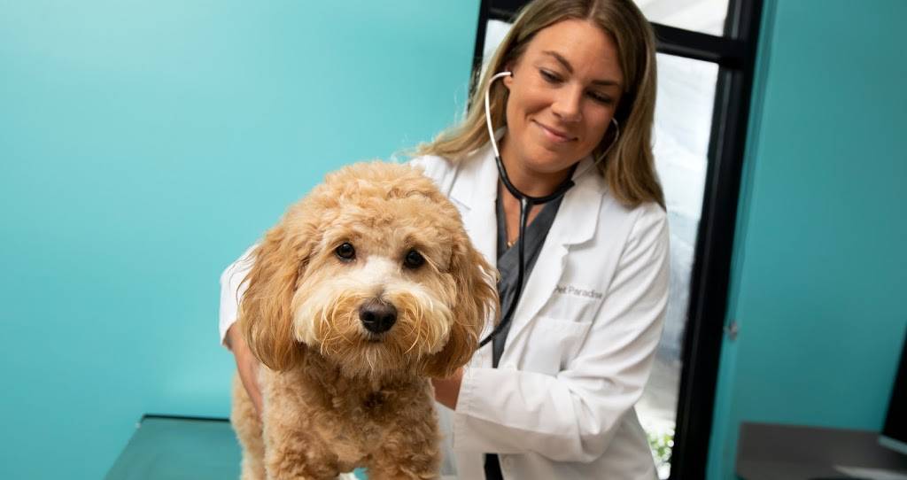 Pet Paradise Veterinary Clinic | 14272 Pecan Park Rd, Jacksonville, FL 32218, USA | Phone: (904) 831-3913