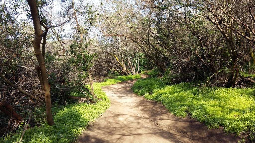 Los Leones Canyon Trailhead | 510 Los Liones Dr, Pacific Palisades, CA 90272