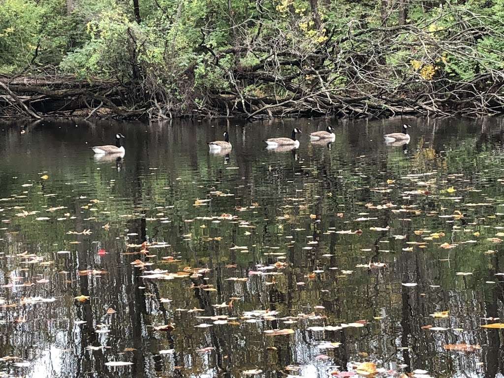 D & R Canal Trail | D & R Canal @ Rt 518, Rocky Hill NJ, Co Rd 518, Kingston, NJ 08528, USA