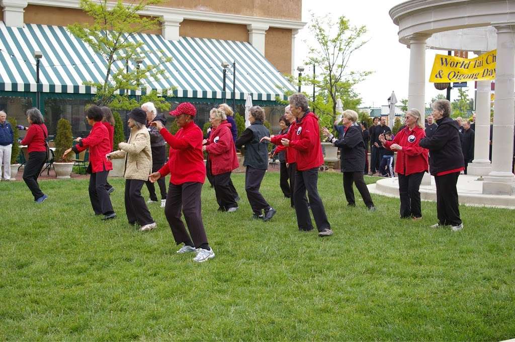 Jing Ying Institute of Kung Fu & Tai Chi | 1195 Baltimore Annapolis Blvd #6, Arnold, MD 21012, USA | Phone: (410) 431-5200