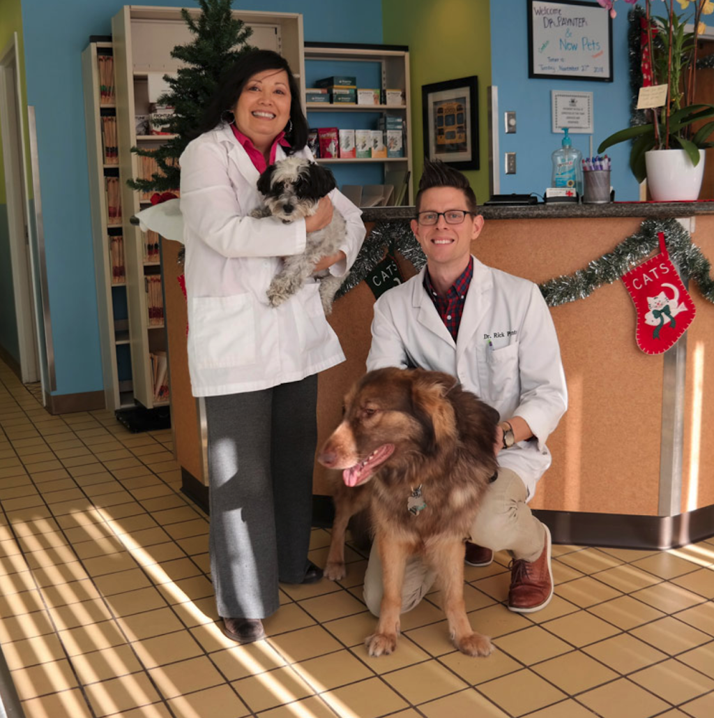 Owings Mills Veterinary Center | 9623 Reisterstown Rd Ste. A, Owings Mills, MD 21117, USA | Phone: (410) 363-0393