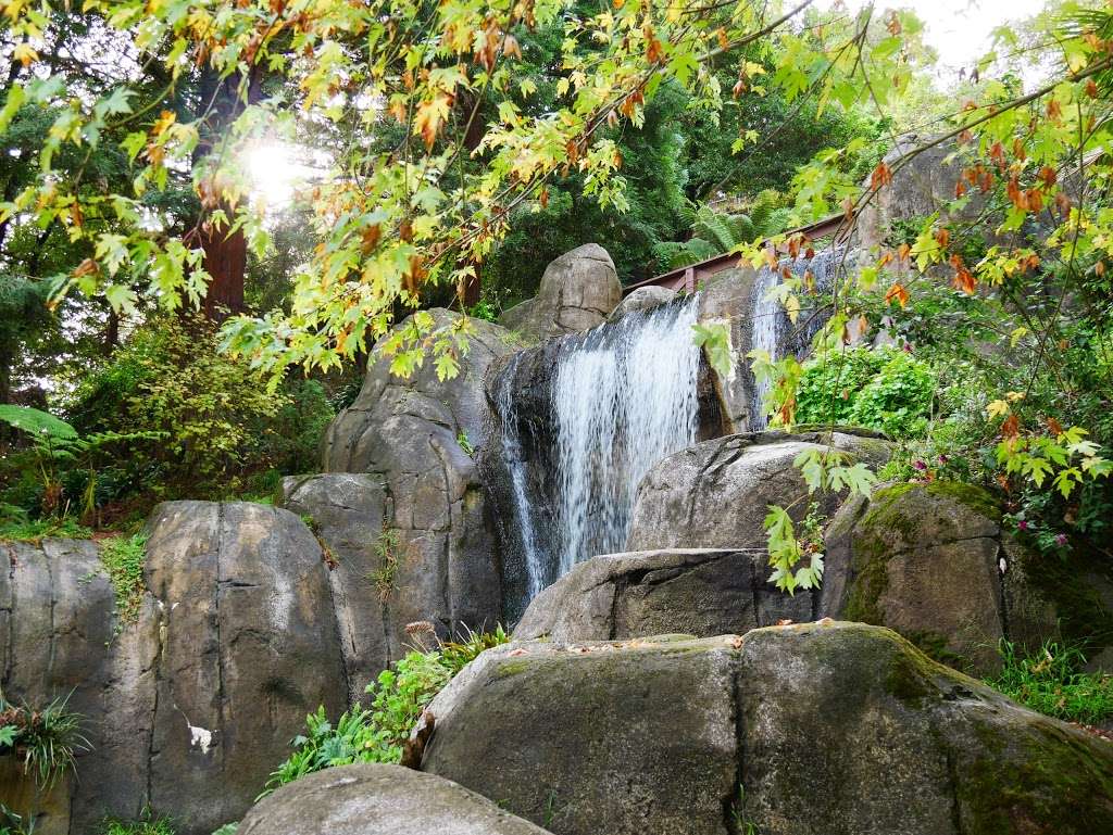 Huntington Falls | 50 Stow Lake Dr, San Francisco, CA 94118, USA | Phone: (415) 831-2700