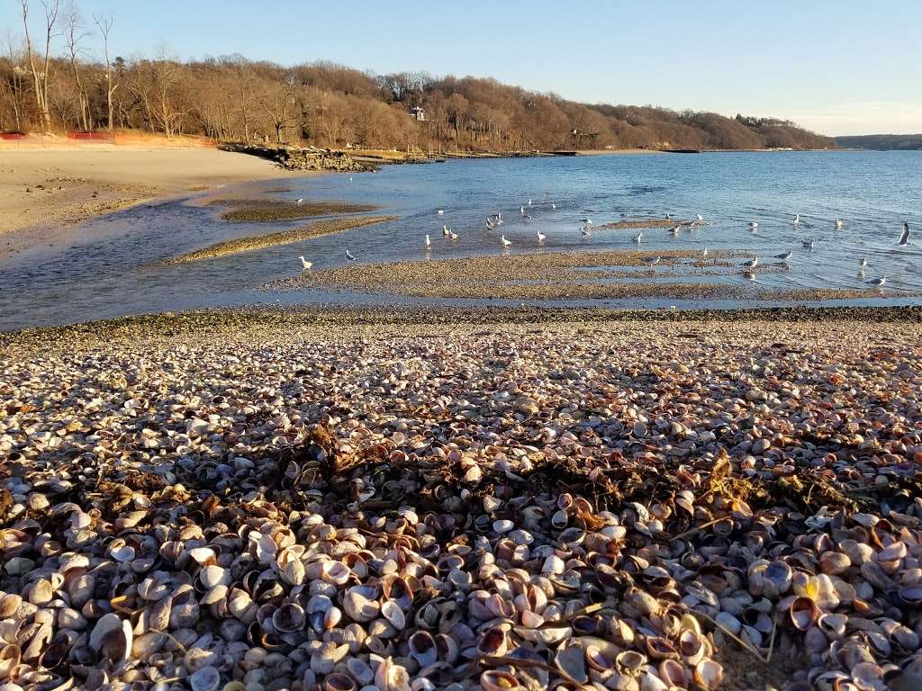 Lloyd Neck Beach | Lloyd Harbor, NY 11743