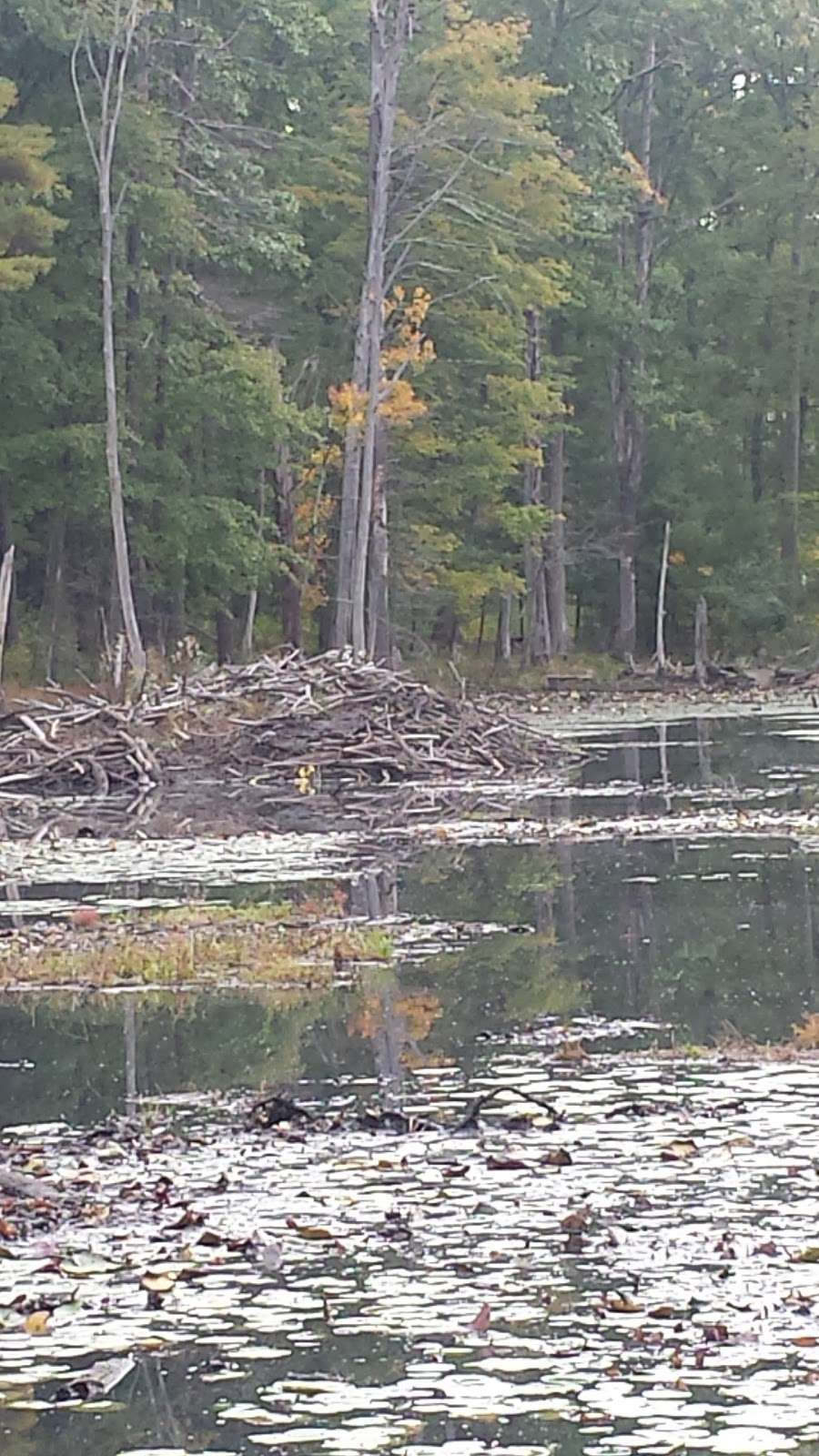 Frederic Cutter Merriam Conservation Area | Sherburne Rd, Pelham, NH 03076