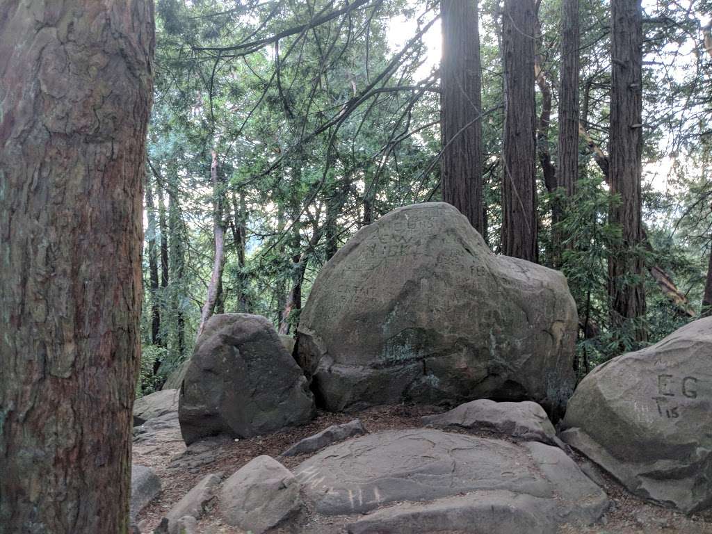 Redwood Peak | Redwood Peak Trail, Oakland, CA 94611, USA