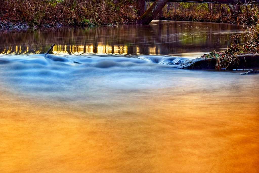 Scott Starling Nature Preserve (West trailhead) | 8521-8899 Wilson Rd, Indianapolis, IN 46278