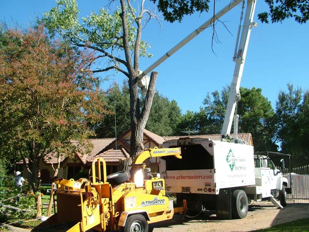 Arbor Masters Tree Service | 1510 Jelmak St, Grand Prairie, TX 75050, USA | Phone: (469) 586-5829