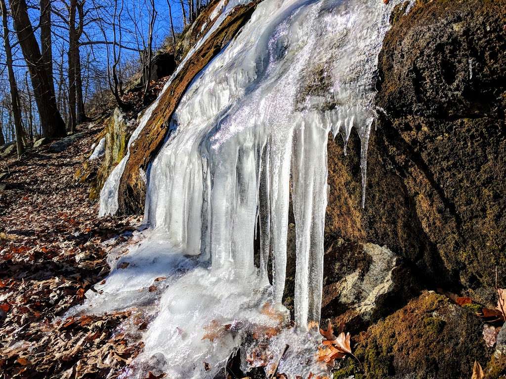 Storm King State Park | Mountain Rd, Cornwall-On-Hudson, NY 12520, USA | Phone: (845) 786-2701