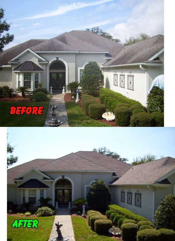 Ribbit Roof Cleaning | 5004 Pine St, Seabrook, TX 77586 | Phone: (832) 769-1295