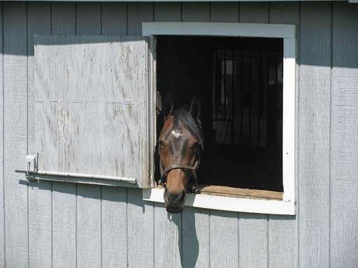 Touch Point Farm | 16251 Dark Horse Trail, Culpeper, VA 22701, USA | Phone: (540) 547-4677
