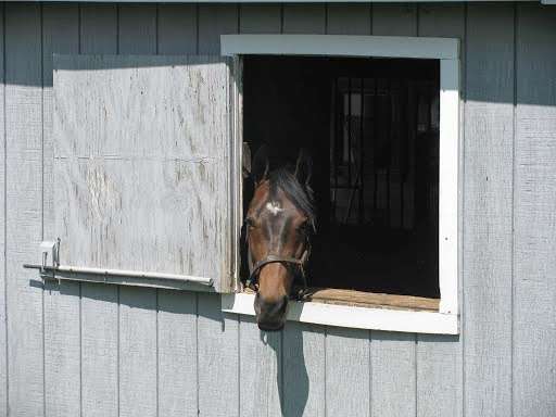 Touch Point Farm | 16251 Dark Horse Trail, Culpeper, VA 22701 | Phone: (540) 547-4677