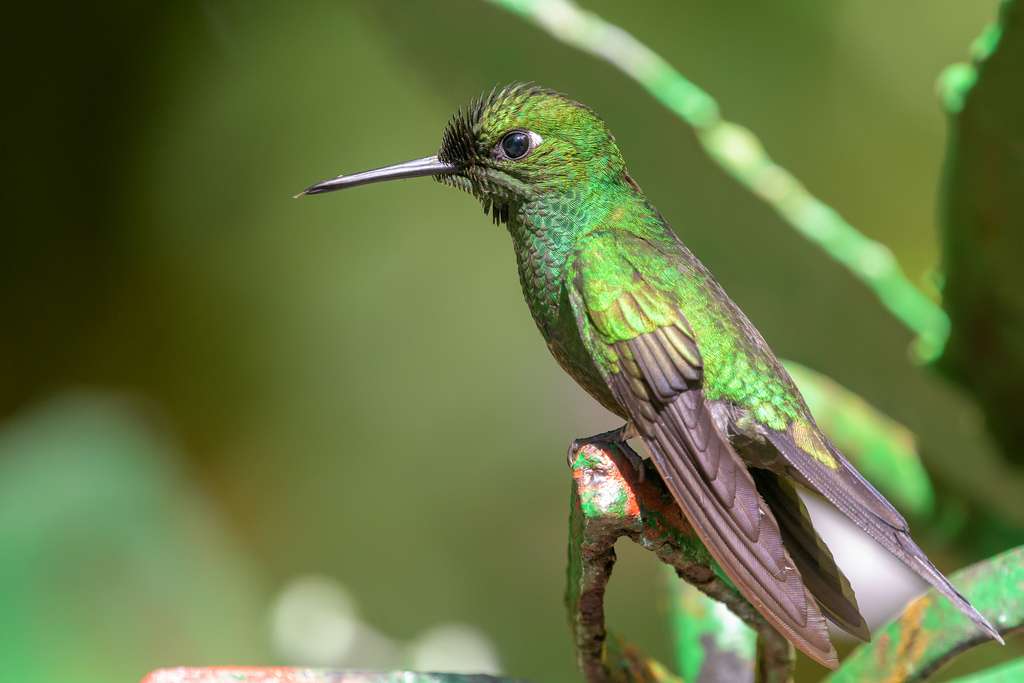 Texas Parks & Wildlife Department | 346 Oaks Trail #100, Garland, TX 75043, USA | Phone: (972) 226-9966