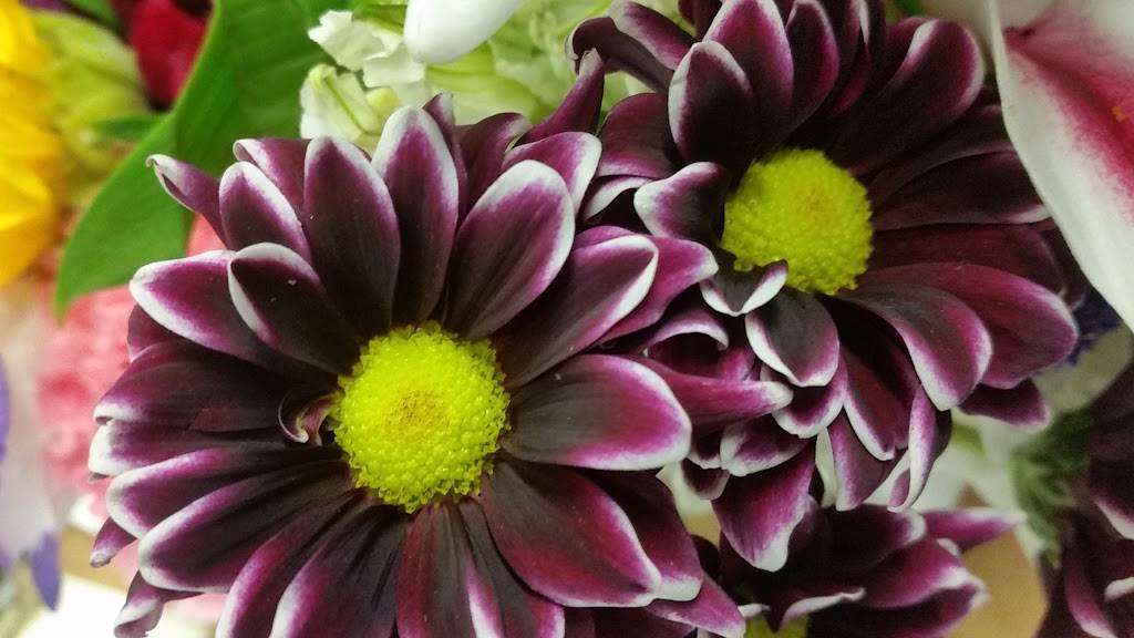 Ford Hotel Supply Co | 2204 N Broadway, St. Louis, MO 63102, USA | Phone: (314) 231-8400