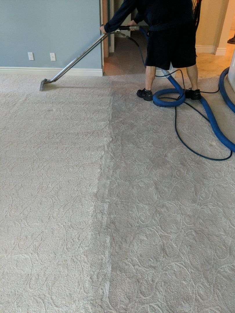 Horizon Carpet Cleaning Service | 8448 Parkgate Rd, Boca Raton, FL 33496, USA | Phone: (561) 903-4889