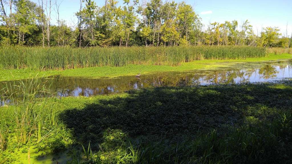 Lower Rock Run Preserve - I&M Canal Access | 1966 Hollywood Rd, Joliet, IL 60436, USA | Phone: (815) 727-8700