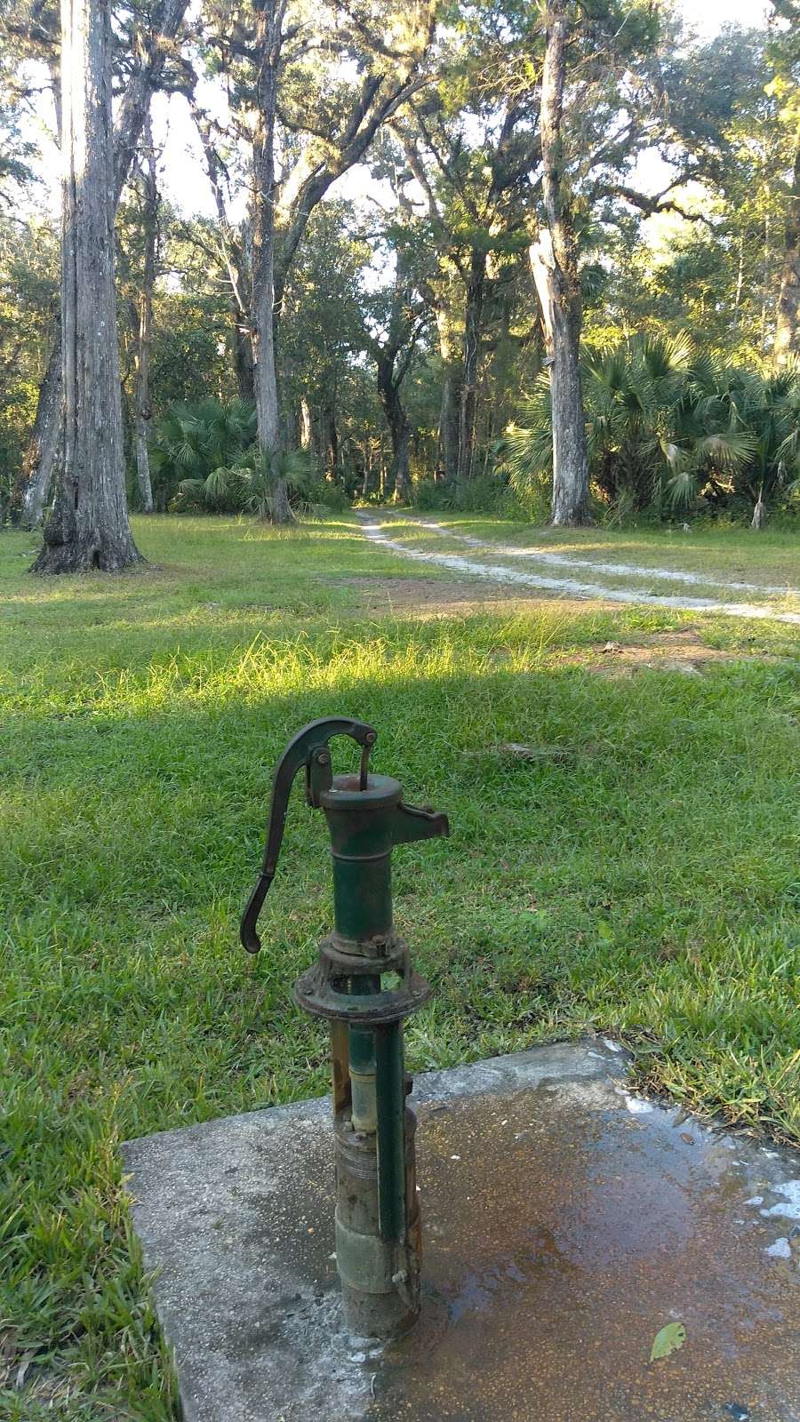 McNeil Group Campground | Dade City, FL 33525