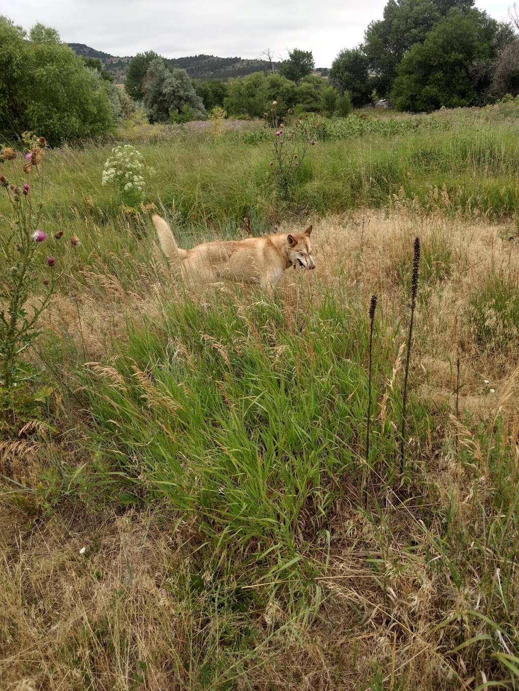 Boulder County Open Space | Longmont, CO 80503