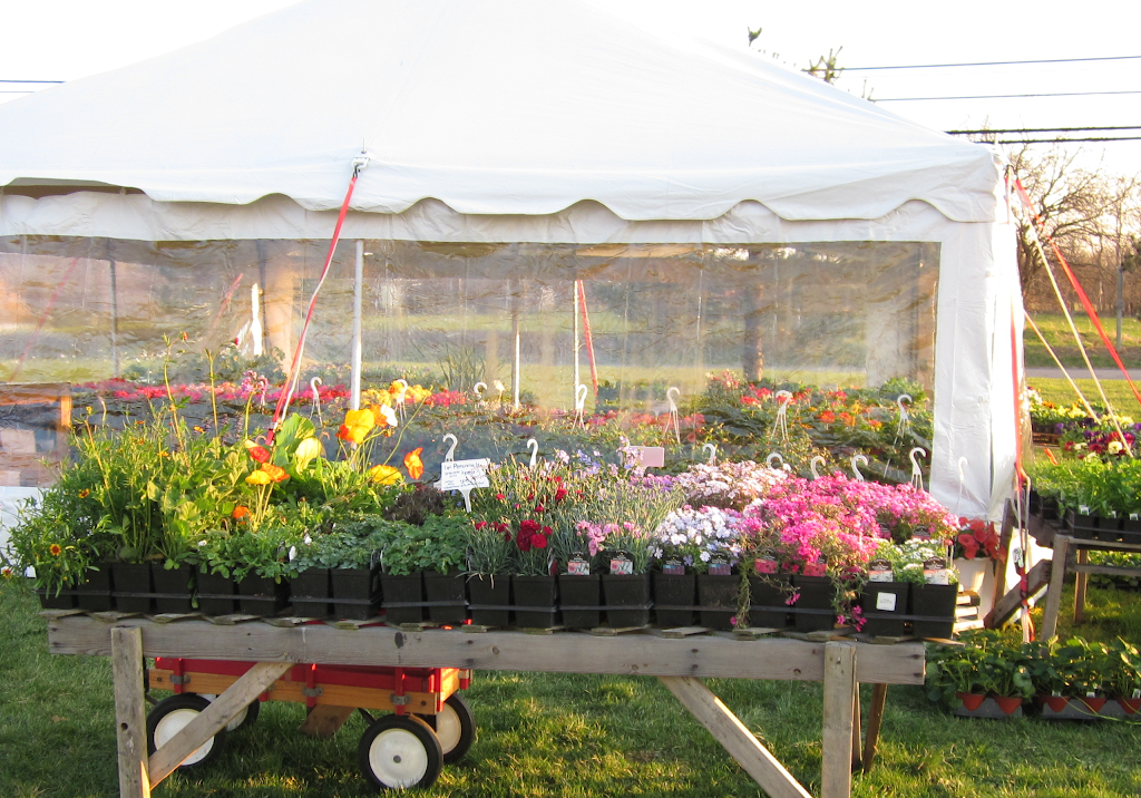 The Vine Garden Plant Outlet | 21036 National Pike, Boonsboro, MD 21713 | Phone: (301) 524-6123