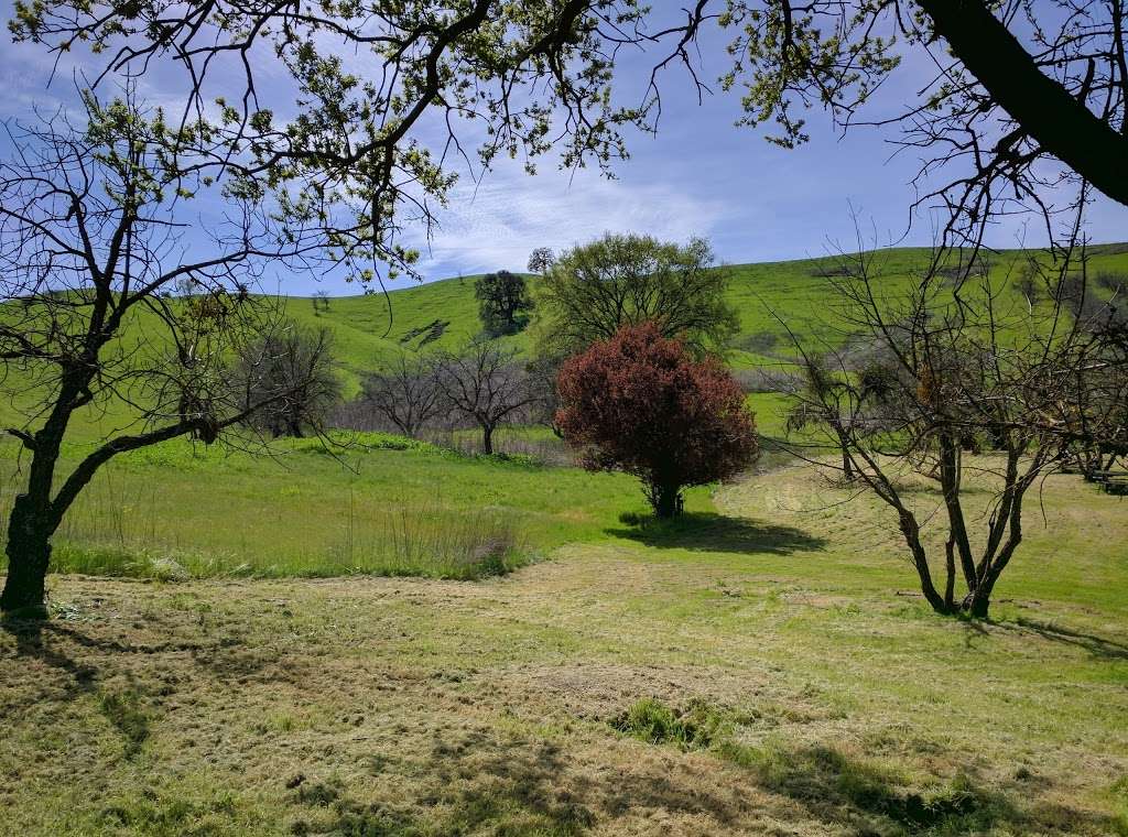 Sugarloaf Open Space | 2161 Youngs Valley Rd, Walnut Creek, CA 94596, USA | Phone: (925) 943-5800