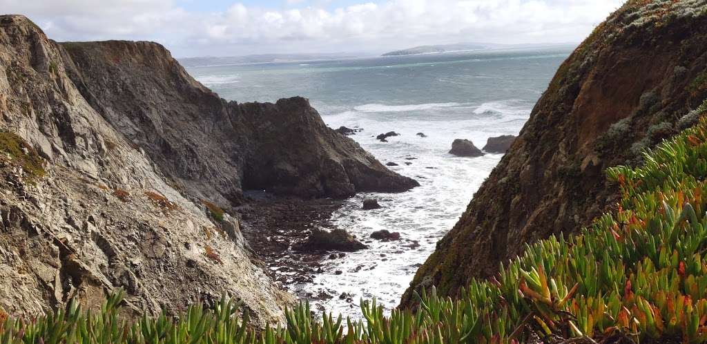 Fishermans Cove | 1850 Bay Flat Rd, Bodega Bay, CA 94923, USA | Phone: (707) 377-4238